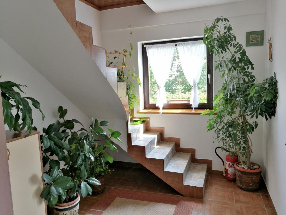 House Marica Villa Poljanak Exterior foto